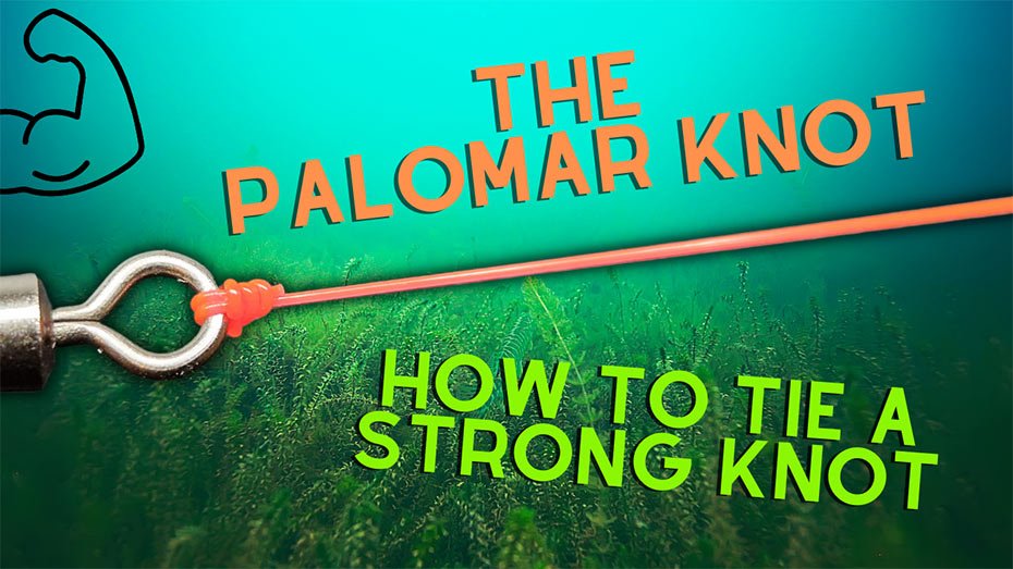 The Palomar knot - learn how to tie it with this easy-to-follow guide